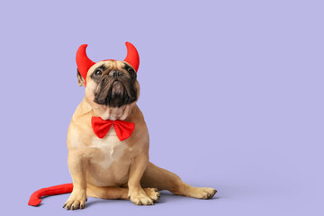 Cute French bulldog in Halloween devil horns sitting on purple background