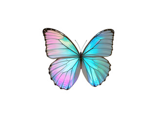 Obraz premium Holographic Butterfly Wings Teal Pink Purple Iridescent Glass Texture Isolated on a transparent background