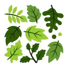 Home plant cartoon style. potted plant isolated on white