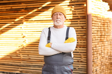 Obraz premium Mature male carpenter in uniform at sawmill