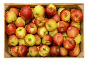 Fresh bio-organic apples in a rustic wooden crate top view, isolated on a white background with...
