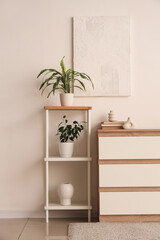 Interior of modern room with stylish dresser and shelving unit near white wall