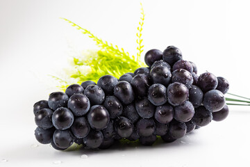 Close-up studio photo of a bunch of juicy, juicy autumn grapes against a white background.