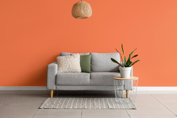 Comfortable sofa and houseplant on table near orange wall in interior of living room