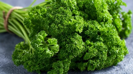 Fototapeta premium Bright green curly parsley bunch tied with twine on a gray surface