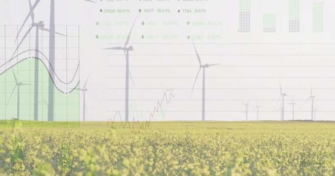 Displaying central wind turbine standing over canola field, under overlaid line and bar charts