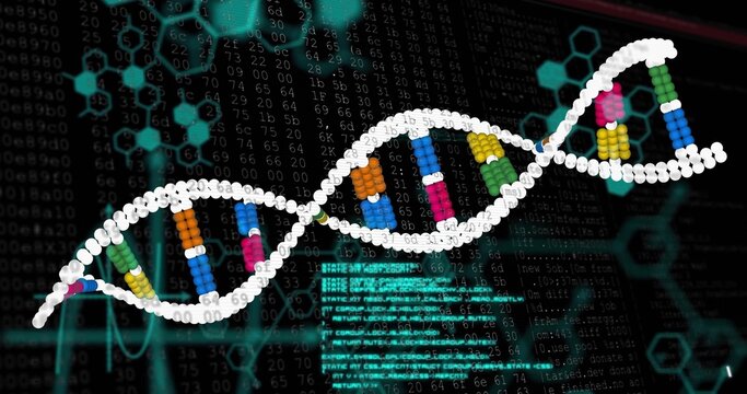 Displaying DNA helix with colored bases on screen amid scrolling code and hexagonal matrix diagrams