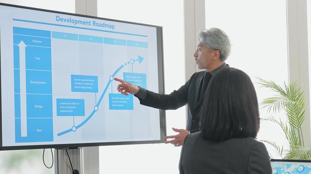 business, presentation, man, businessman, conference, seminar, explanation, large screen, monitor, slide, roadmap, management, strategy, senior, middle-aged, middle aged, middle aged and elderly, pres