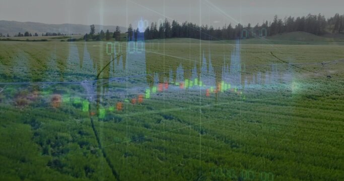 Showing digital candlestick chart over farmland fence with line graphs and readouts