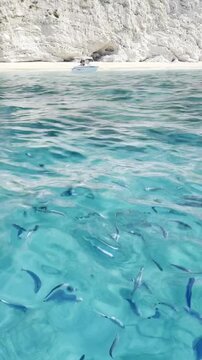 Blue fish in blue water .