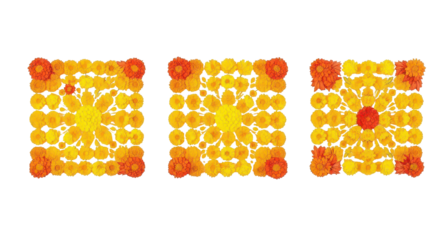 Floral Geometry: A captivating top-down arrangement showcases a series of meticulously arranged square displays, each adorned with vibrant orange and yellow flowers.