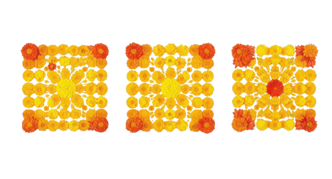 Floral Geometry: A captivating top-down arrangement showcases a series of meticulously arranged square displays, each adorned with vibrant orange and yellow flowers.