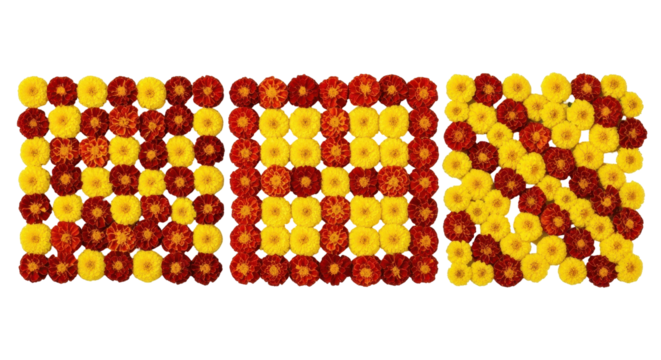 Floral Mosaic: A captivating floral arrangement showcases the word 'WOW' using an array of vibrant flowers in a symmetrical and artistic display, showcasing beauty and creativity.