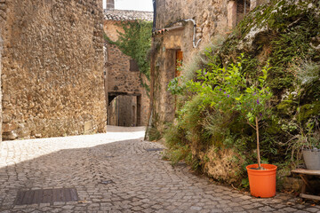 Houses and archway in the old village Tourtour in the Department var, Provence, France