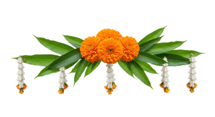 Floral Delight: A close-up shot of marigold blooms arranged to enhance your design with fresh and elegant look