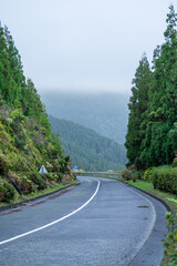 A wet asphalt road curving into a foggy mountain forest in the Azores A Mysterious Journey