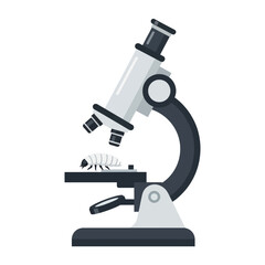 A stylized microscope image, focusing on a magnified insect specimen.