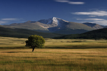 breathtaking summer landscapes across  states of usa showcasing stunning mountain panoramas