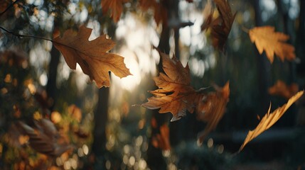 空, 空間, 星, 銀河, 星雲, 夜, 青, 雲, 光, アブストラクト, ユニバース, 天文学, 暗い, 明るい, コスモス, 自然, 深い, ファンタジー, イラスト, 嵐, 黒, 星の多い, 外の,背景,動画背景,