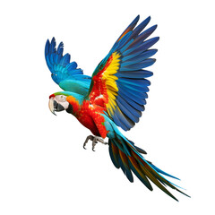 Fototapeta premium Colorful blue and yellow macaw parrot perched on a tropical branch Transparent Background