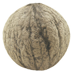 Close-up of a Single Walnut with Detailed Texture