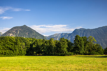 Fototapeta premium mountain forested landscape with lush light green and yellow field under a clear blue sky. rural farming and natural agriculture