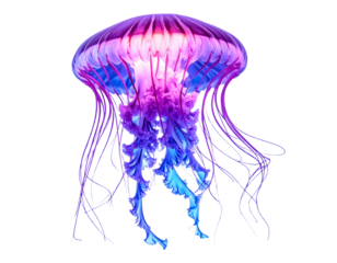 Mystical Bioluminescent Jellyfish in Dark Ocean Depths