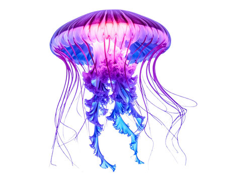 Mystical Bioluminescent Jellyfish in Dark Ocean Depths