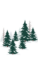 Winter Forest Scene with Evergreen Trees and Snow Accents.