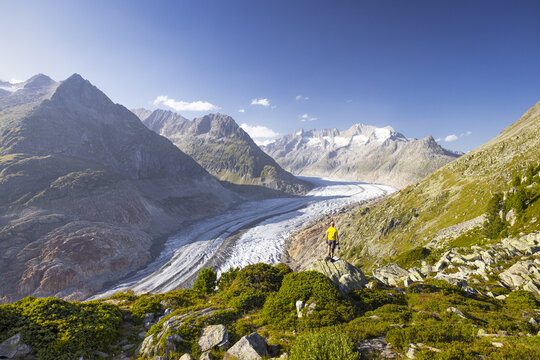 View of a lone figure standing on a rock, overlooking the majestic Aletsch Glacier winding through rugged mountains under a clear blue sky, Aletsch Glacier, Valais, Switzerland.