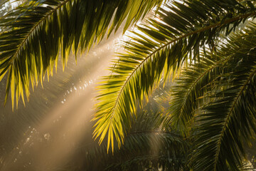 Fototapeta premium basking in warm hawaiian sun lush palm leaves sway gently in tropical breeze creating tranquil atmosphere