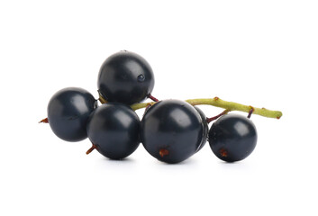 Fresh black currants on white background
