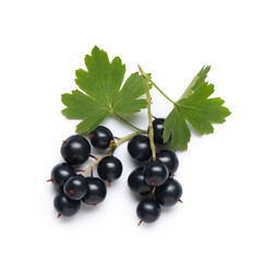 Fresh black currants with leaves on white background