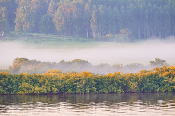 Autumn foggy landscape, view from height of autumn forest and river in foggy weather