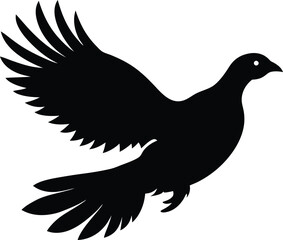 silhouette of pigeon on transparent background