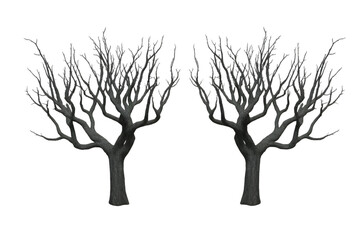 Obraz premium tree with roots