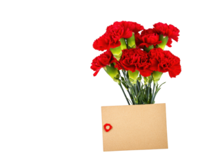 Bouquet of Red Carnations with Blank Card flowers floral isolated on a transparent background