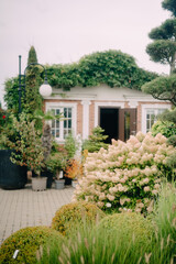 Charming Garden Shed with Lush Greenery and Blooming Flowers