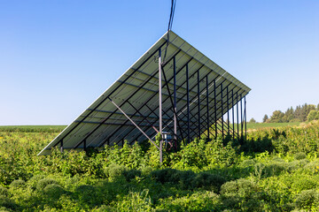 Solar panels. Solar panel installation is tilted and surrounded by lush green vegetation in sunny...
