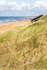Experience a Serene Beachside Retreat Skillfully Nestled Amidst Lush Dune Grass and Scenic Views