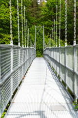 A long and narrow suspension bridge, supported by strong chains, winds its way through vibrant green foliage, Sweden, Knared