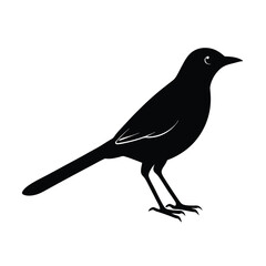 bird on a branch  vector on transparent background