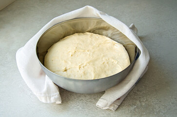 Rising Yeast Dough in Metal Bowl