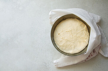 Rising Yeast Dough in Metal Bowl Overhead