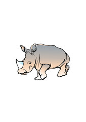 Rhino, Rhinoceros
