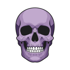 Fototapeta premium A Vibrant Purple Skull with Detailed Features.