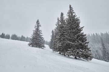Pristine winter landscape with a vast snowy slope.