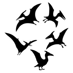 Obraz premium Silhouette of a Pterodactyl in Flight