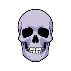 Obraz premium Cartoon Skull with Lavender Hue and Detailed Teeth Frontal View.