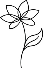 black and white flower vector on transparent background
